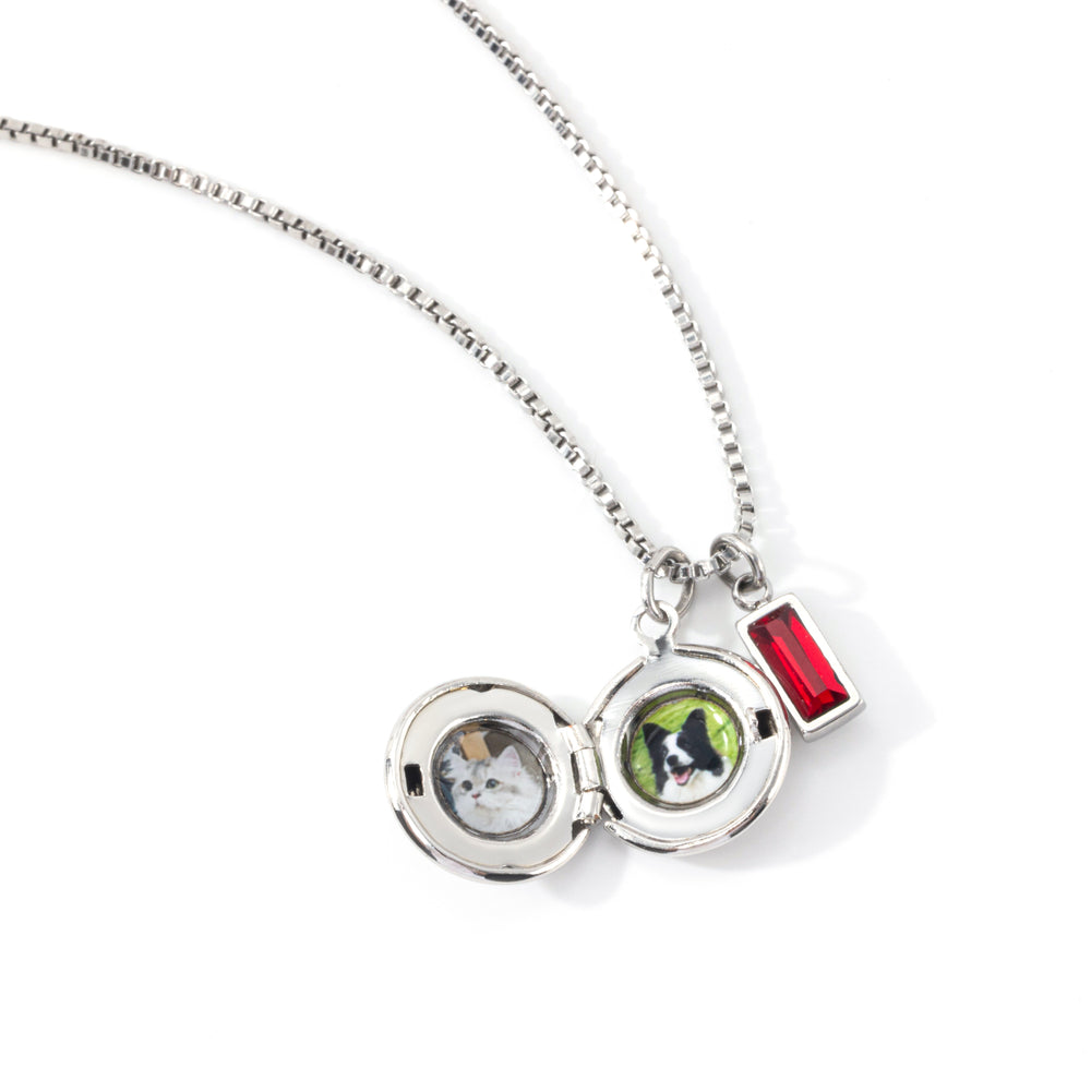 Family Birth Flower Locket Necklace with Birthstone - Silver / April Diamond