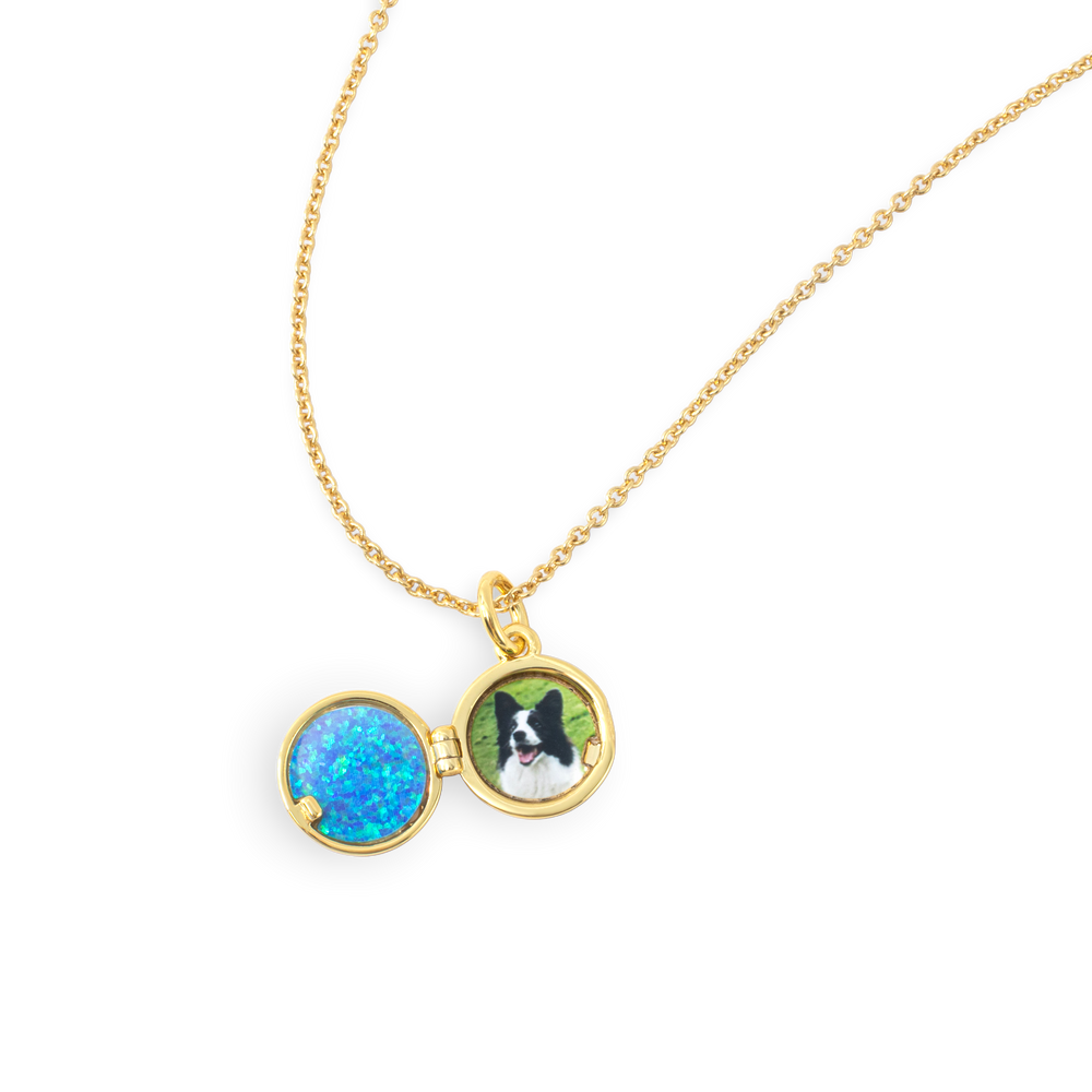 Opal Ocean Wave Locket Necklace - Silver / 16" + 2"