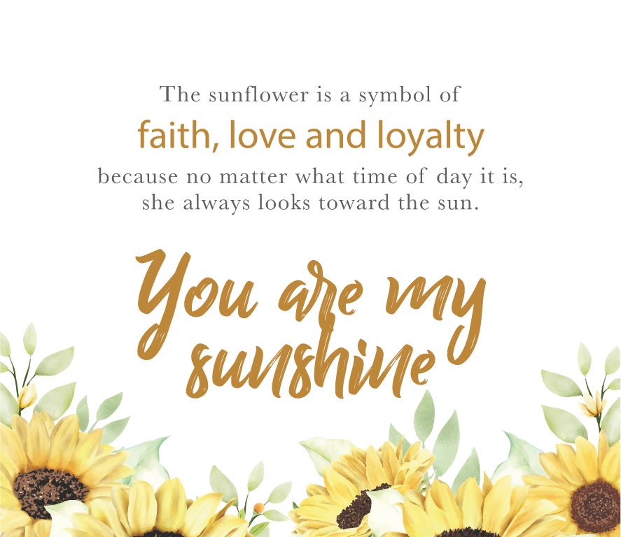 Eres mi anillo de girasol Sunshine - Oro / 6
