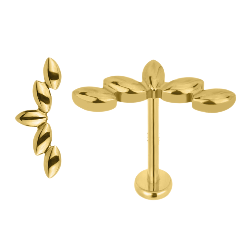 Cute Labret Studs | 16g - Gold / Leaf Climber / 6mm